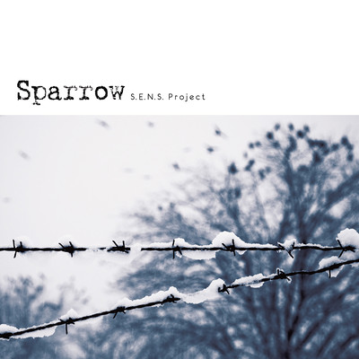 Chinese Drama "Sparrow" Original Soundtrack Front Cover