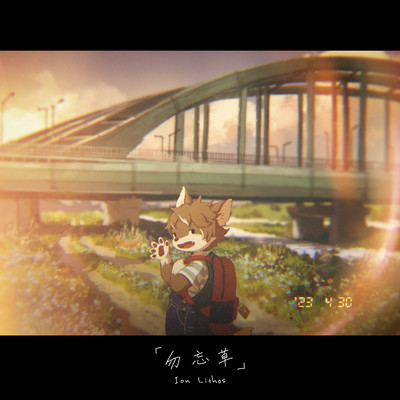 勿忘草のジャケット写真