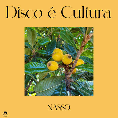 Disco é Cultura Front Cover
