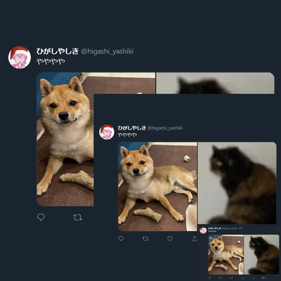 ややややのジャケット写真