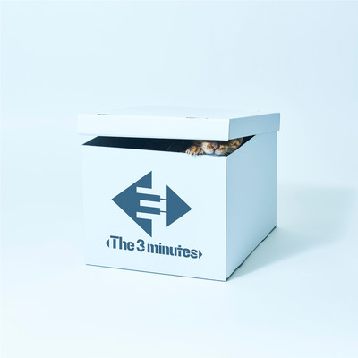 Schroedinger's Lady Front Cover