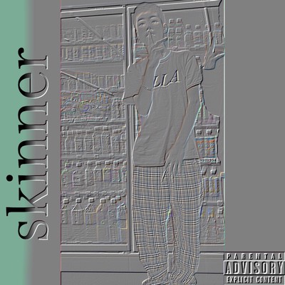 Skinner Front Cover