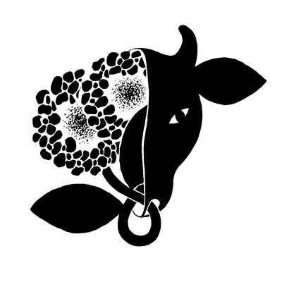 迷い牛のジャケット写真