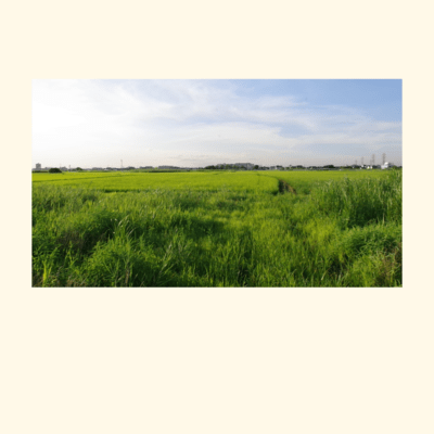 言葉にならないのジャケット写真