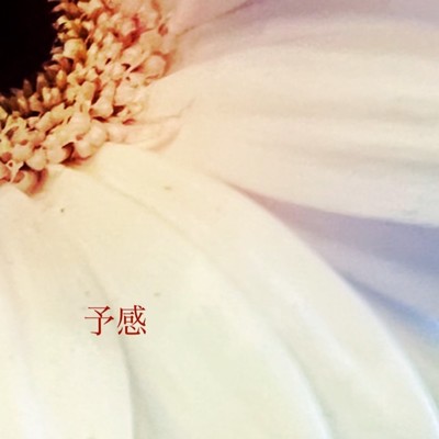 yokan Front Cover