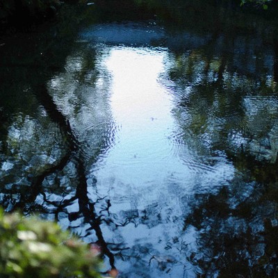 Mushiniwa Front Cover