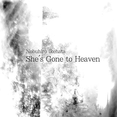 She's Gone to Heaven Front Cover