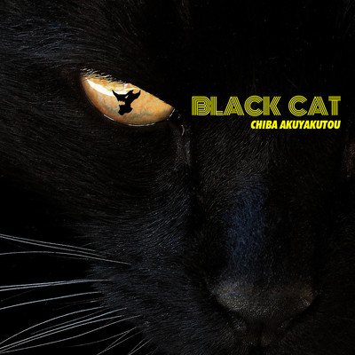 BLACK CAT Front Cover