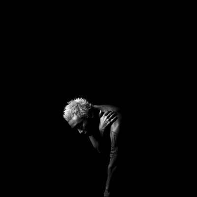 烏のジャケット写真