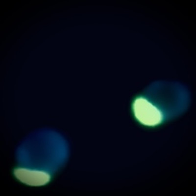 Transientのジャケット写真