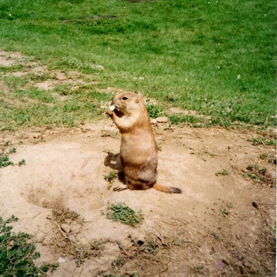 Introduction Front Cover