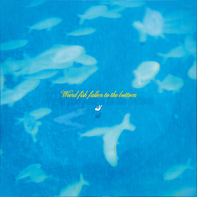 Wierd fish fallen to the bottom Front Cover