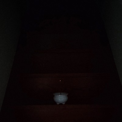 ミエル、イマワのジャケット写真