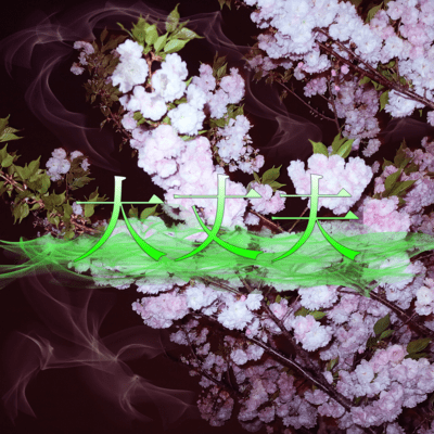 Fine Front Cover
