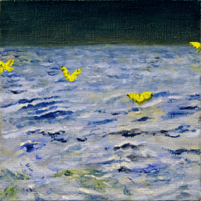 butterfly Front Cover