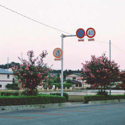 the familiar town Front Cover