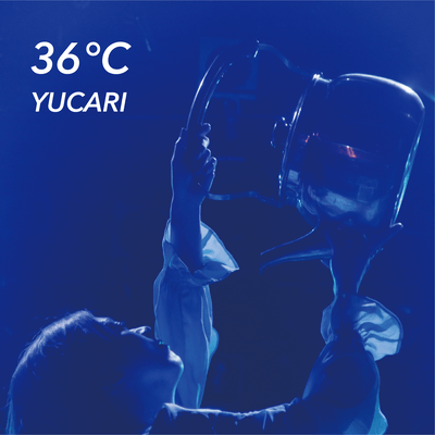 36℃のジャケット写真