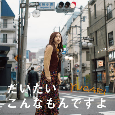 だいたいこんなもんですよのジャケット写真