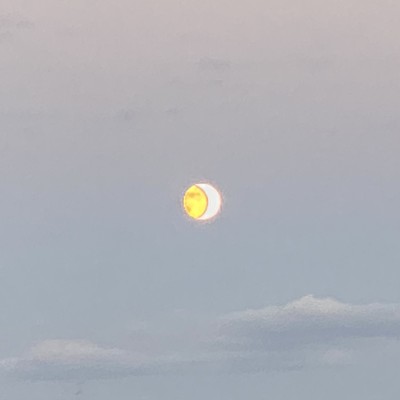 To the full moon Front Cover