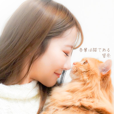 Wagahai wa Neko dearu Front Cover