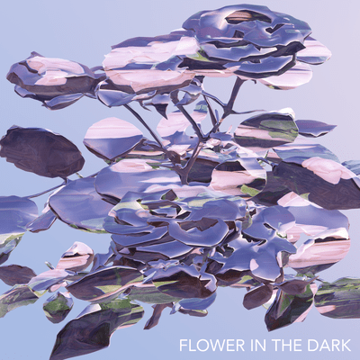 Flower In The Dark Front Cover