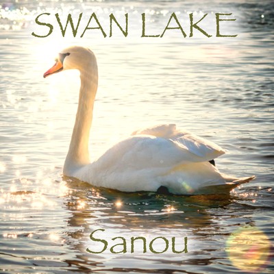 SWAN LAKE Front Cover