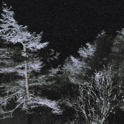 FVCTのジャケット写真