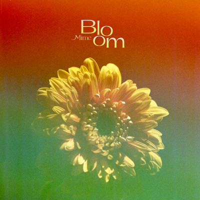 Bloom Front Cover