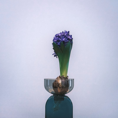 絵空事のジャケット写真