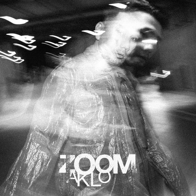 ZOOMのジャケット写真