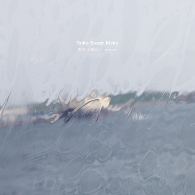 Mesh / bones Front Cover