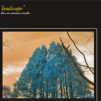 landscape (live at otonari studio) Front Cover