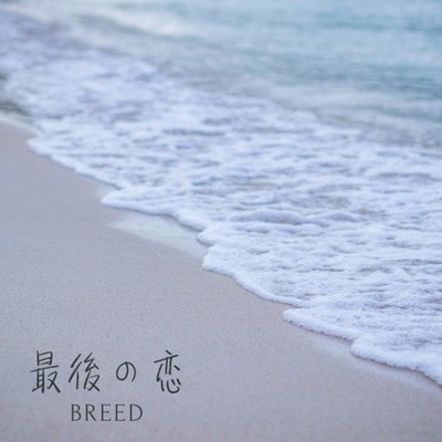 最後の恋のジャケット写真