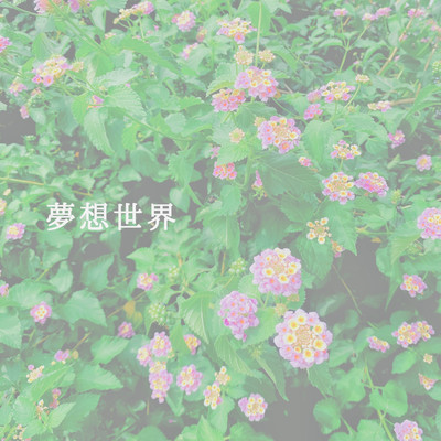 夢想世界のジャケット写真