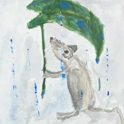 沛然と降り注ぐ群雨の潔さのジャケット写真