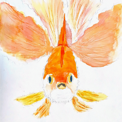 mekobosi ni azukari ryukin ha oyogu Front Cover