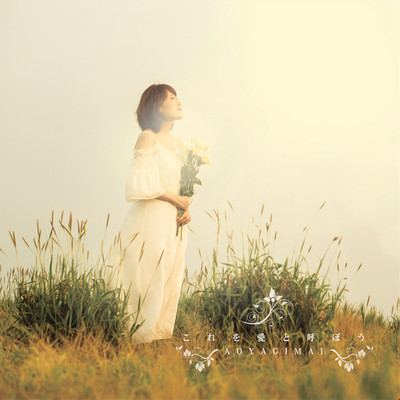 the love Front Cover
