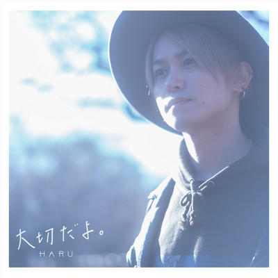 大切だよ。のジャケット写真