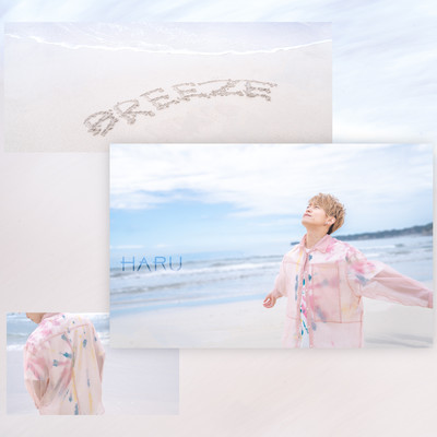 BREEZEのジャケット写真