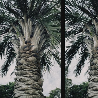 Budi (feat. thalor) Front Cover