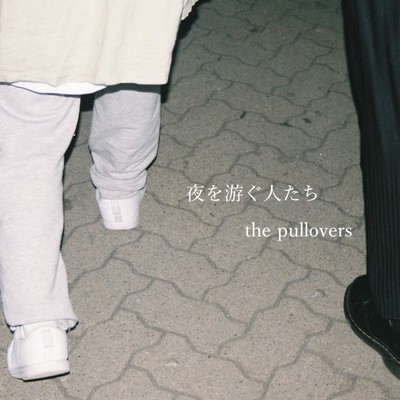 swimmers into the night Front Cover