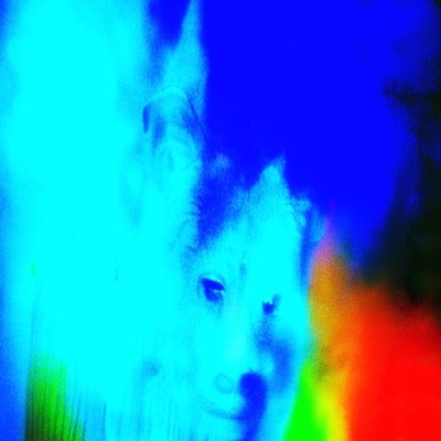 l o n e l y . Front Cover