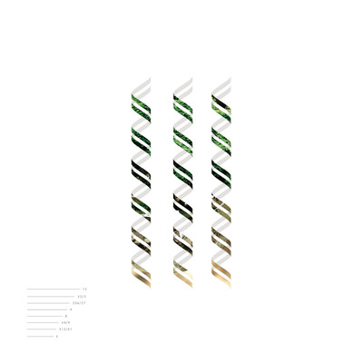 comrades Front Cover