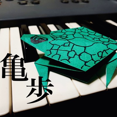 turtle woke Front Cover