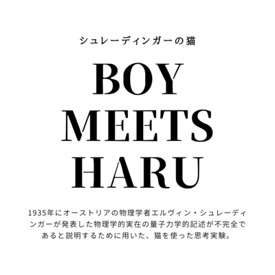 シュレーディンガーの猫のジャケット写真