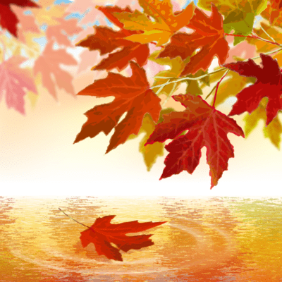 Transition Front Cover