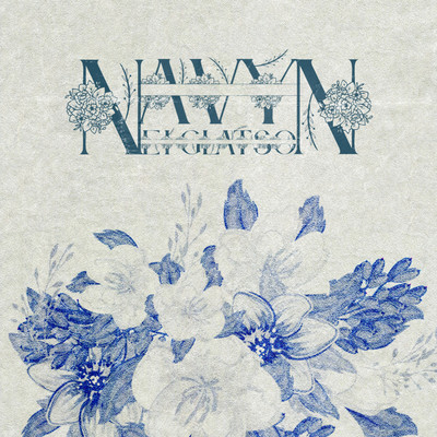 Navy Nostalgie Front Cover