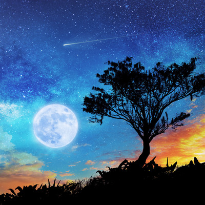 ConnecConnect with the Cosmost with the Cosmos Front Cover