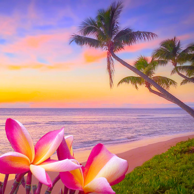 Relaxation music for Aromas, Spa, Meditation, Yoga, Sleep - Healed from the core that feels the atmosphere of the tropical sea Front Cover