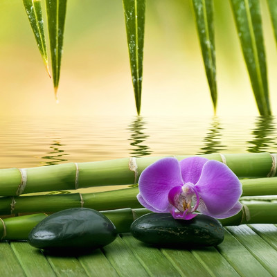 A limpid spring - Music to Calm the Mind and Release All Stress Front Cover